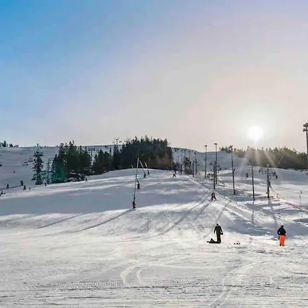 Topp Leilighet Ski Ski Out Gautefall Drangedal