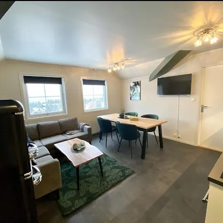 Topp Leilighet Ski Ski Out Gautefall Apartment